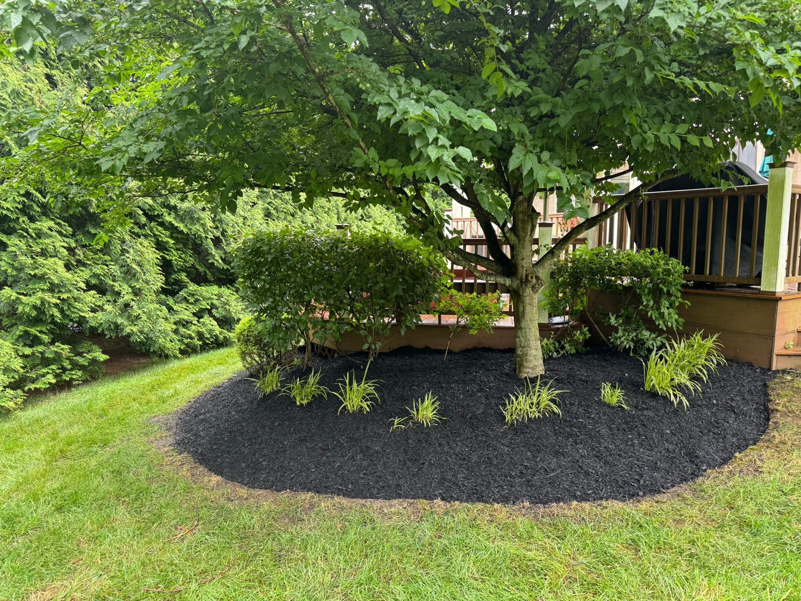Mulch installation work by Green Force Property Services
